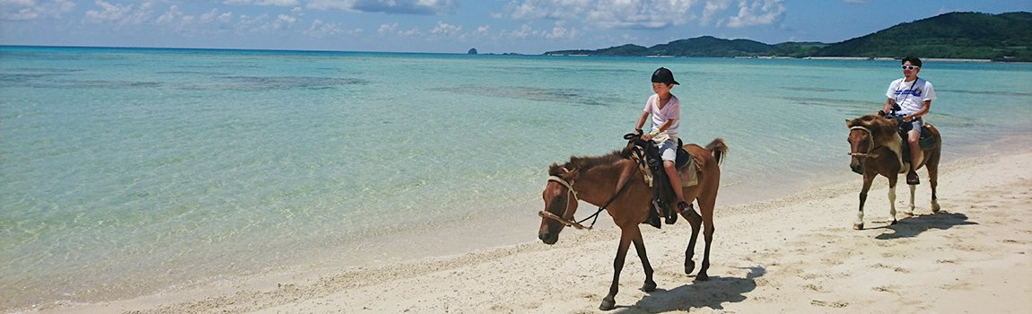 久米島馬牧場｜久米島町・乗馬体験