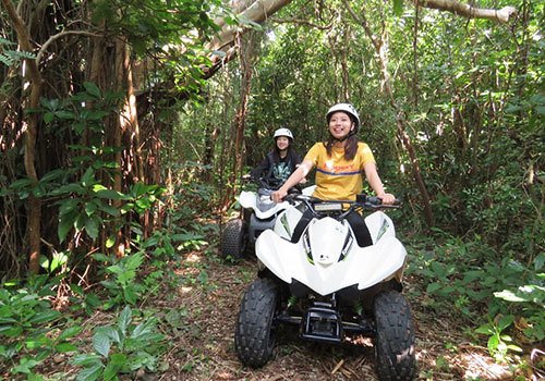 どきどきツアーズ ガジュマルンチャー｜糸満市・バギーツアー