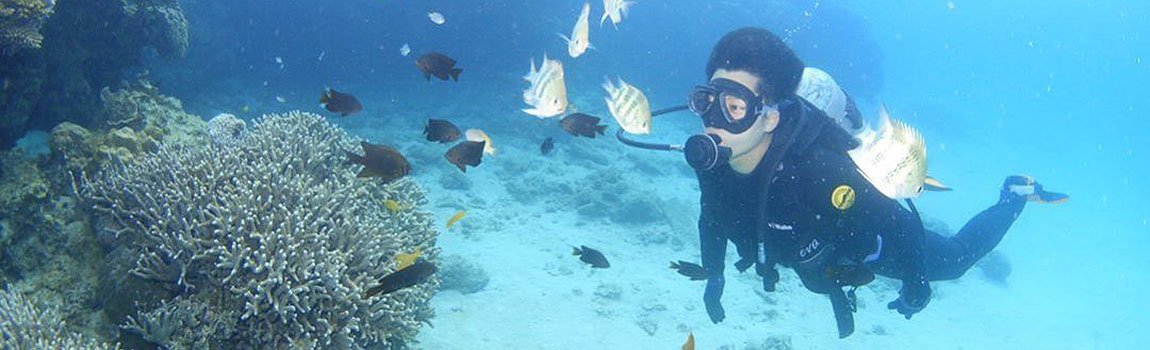 古宇利島ダイビング｜今帰仁村・ダイビング