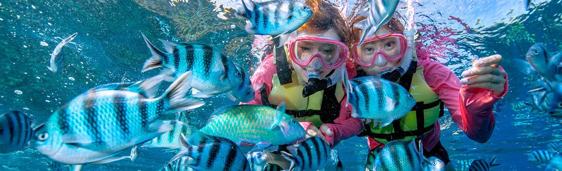 サマーリゾート沖縄｜恩納村・シュノーケル
