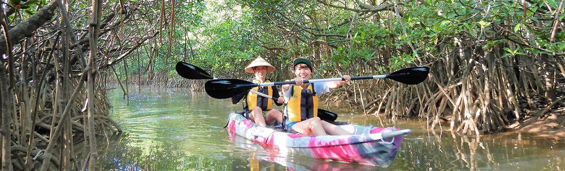 やんばるエコフィールド 島風｜東村・カヌーツアー