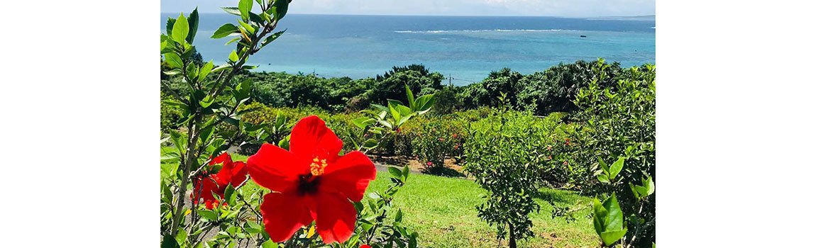 ホテル サンドリバー石垣島｜石垣島・ホテル