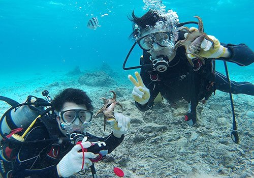ピンクマーリンクラブ｜恩納村・マリンスポーツ・ダイビング