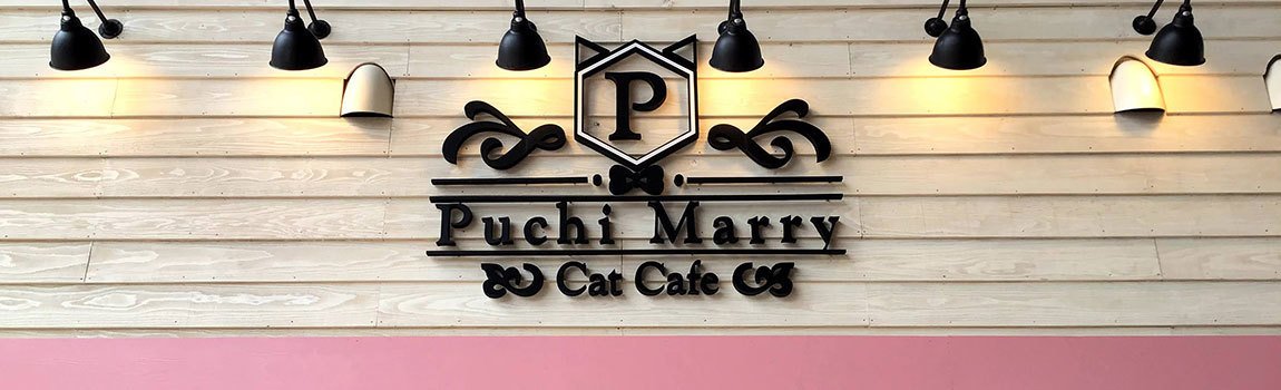 Puchi Marry 沖縄北谷店｜北谷町・猫カフェ