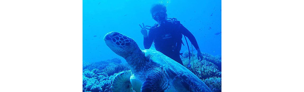 Marine Lagoon｜本部町・ダイビング・ホエールウォッチング