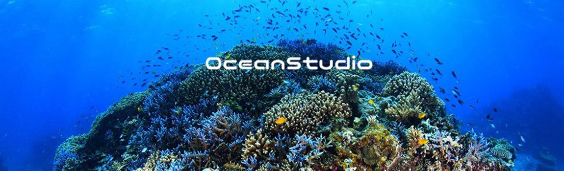 Ocean Studio｜石垣島・ダイビング