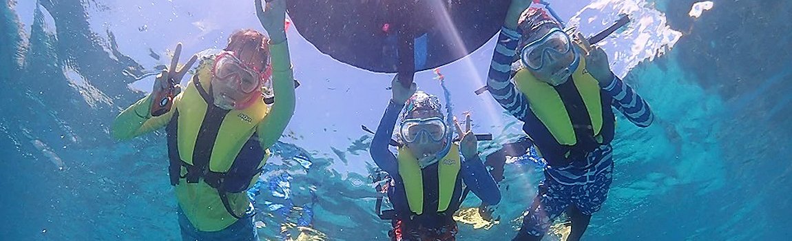 EGGダイビング｜名護市・ダイビング・シュノーケリング