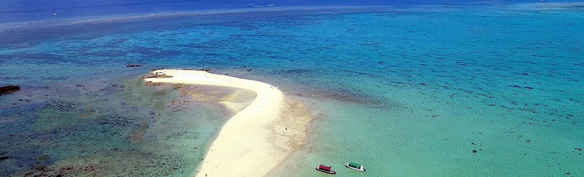 LUCKY CLOVER｜石垣島・シュノーケル・ダイビング