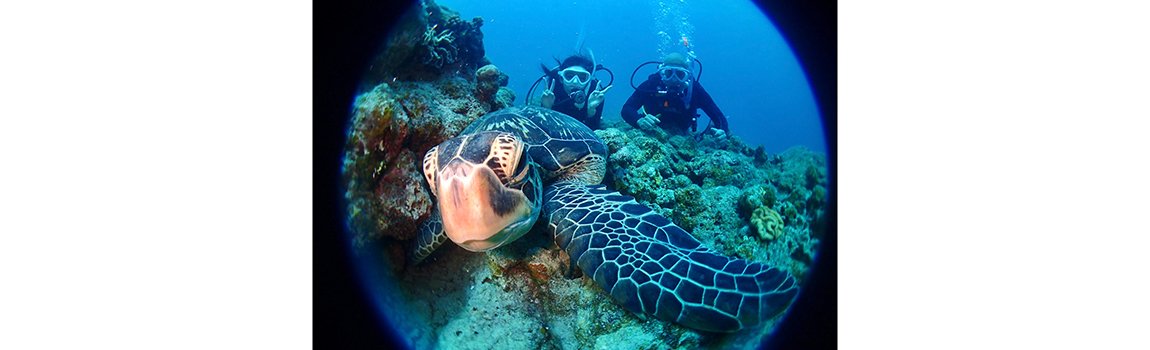 DIVING SHOP RYAAAN｜石垣島・マリンスポーツ