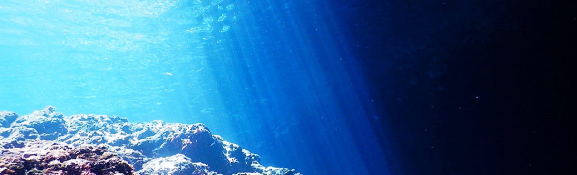 BLUE TABBY｜宮古島・マリンスポーツ・ダイビング