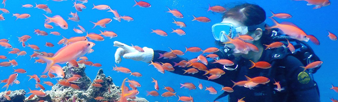 石垣島ダイビングショップ Fun Sea 石垣島｜石垣島・ダイビング