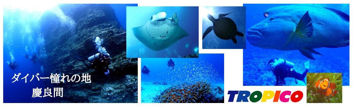 おきなわトロピコ｜那覇市・ダイビング