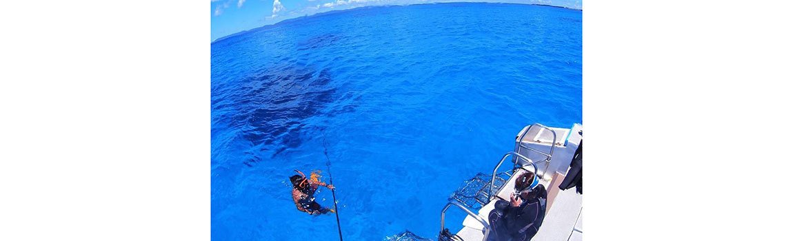 Diving Service SUNNY SUNNY｜石垣島・ダイビング