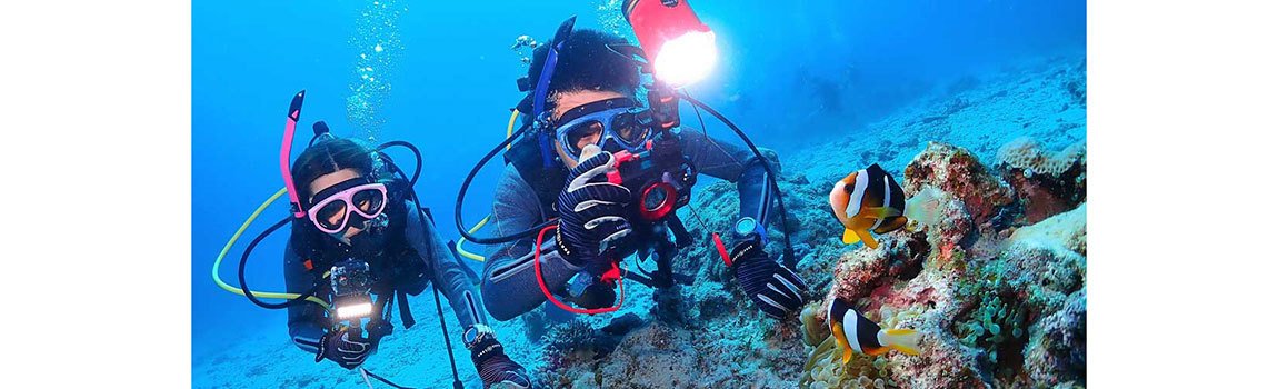 Craft Dive｜那覇市・ダイビング