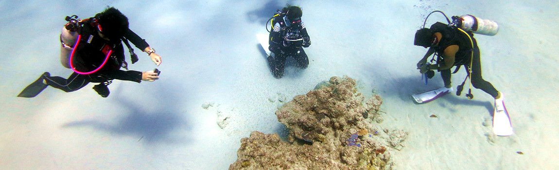 那覇シーマリン｜那覇市・ダイビング