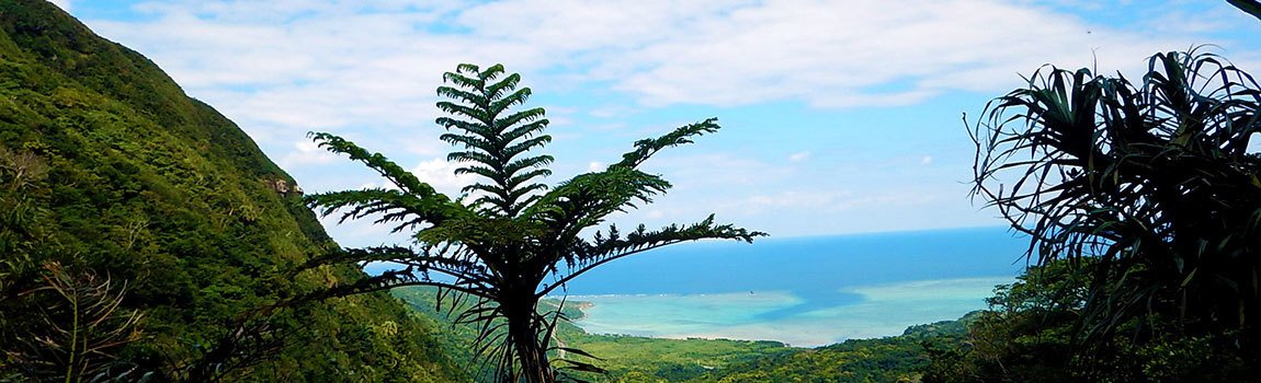 西表ジャングル探検隊｜西表島・カヌー・トレッキング