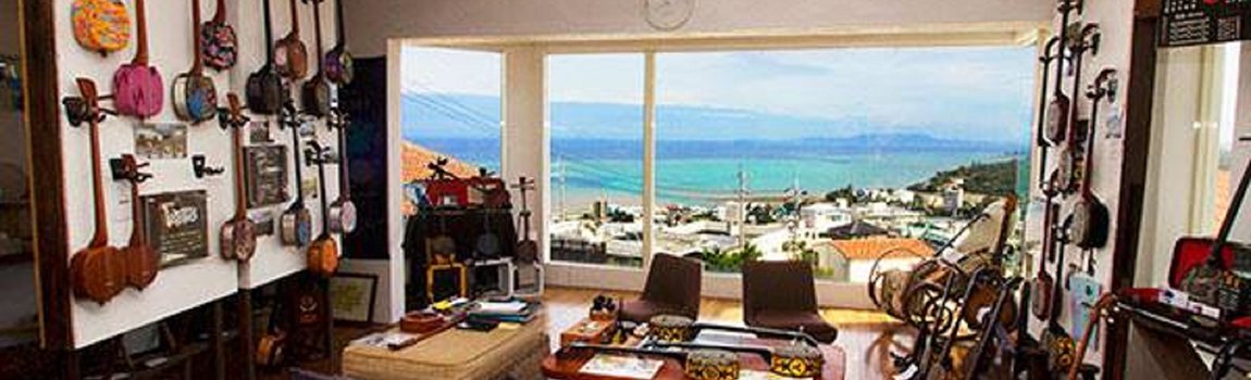 三線製作／販売／教室 ASOVIVA｜読谷村・三線きっかけ講座・三線クラフト教室・マリンアクティビティ