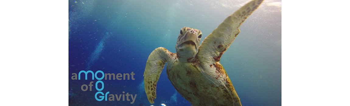 ダイビングショップ モーグル｜宮古島・ダイビング