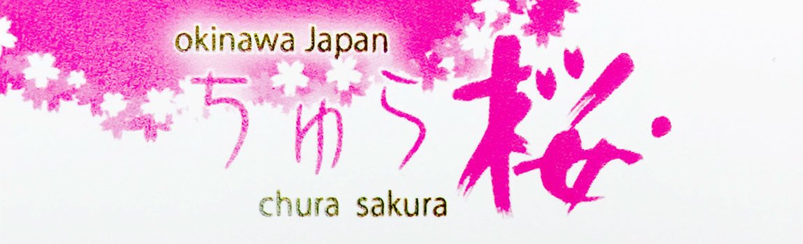 着物レンタル・着付け ちゅら桜｜那覇市・着付・和装・琉装