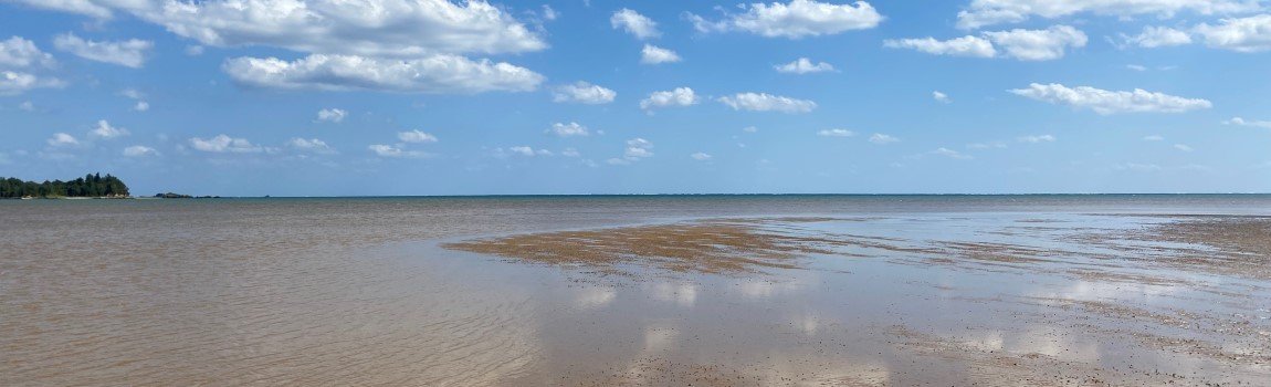 潟原干潟｜宜野座村・ビーチ