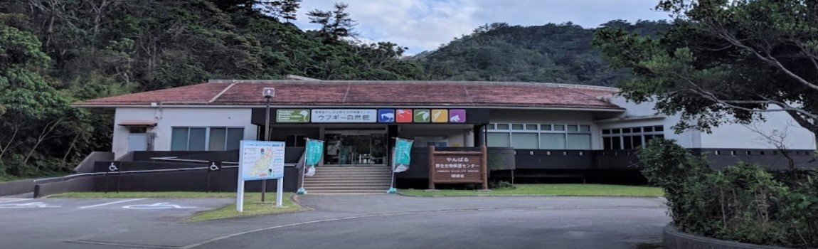 やんばる野生生物保護センター ウフギー自然館｜国頭村・博物館