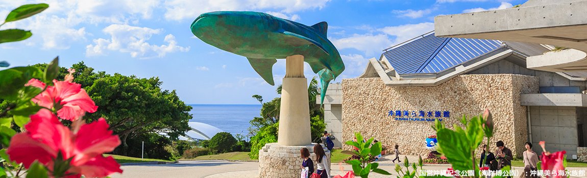 沖縄美ら海水族館 オキナワチュラウミスイゾクカン 本部町 水族館 美らタウン沖縄