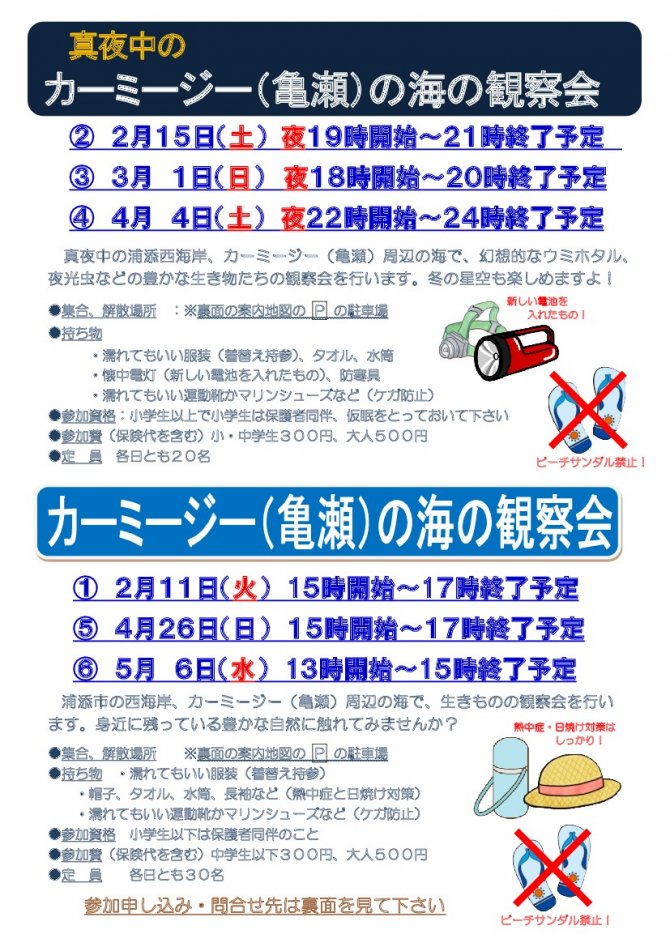 自然豊かなカーミージー（亀瀬）の海の観察会