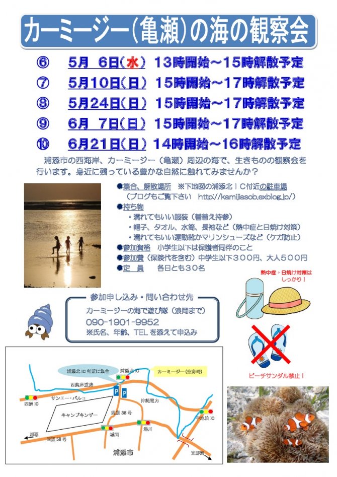 自然豊かなカーミージー（亀瀬）の海の観察会