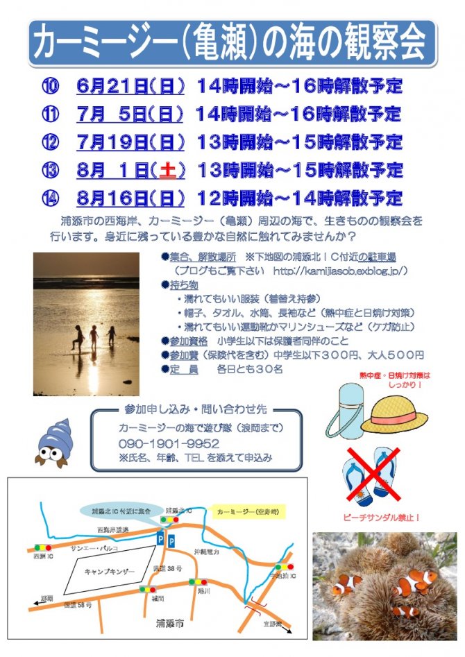 自然豊かなカーミージー（亀瀬）の海の観察会