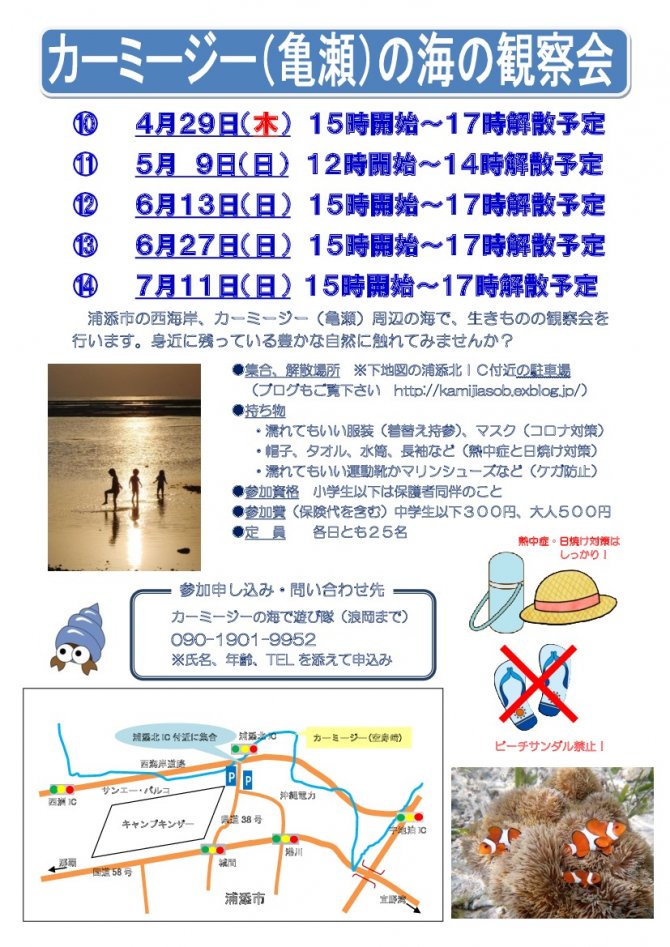 自然豊かなカーミージー（亀瀬）の海の観察会