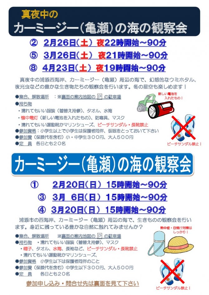 真夜中の神秘的なカーミージー（亀瀬）の海の観察会
