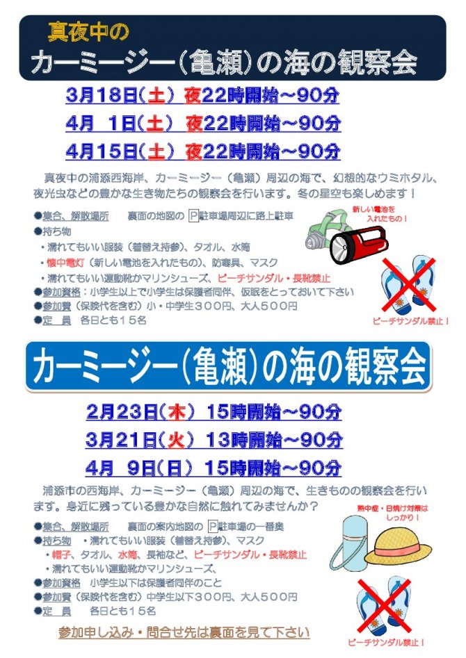 真夜中の神秘的なカーミージー（亀瀬）の海の観察会