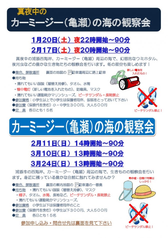真夜中の神秘的なカーミージー（亀瀬）の海の観察会
