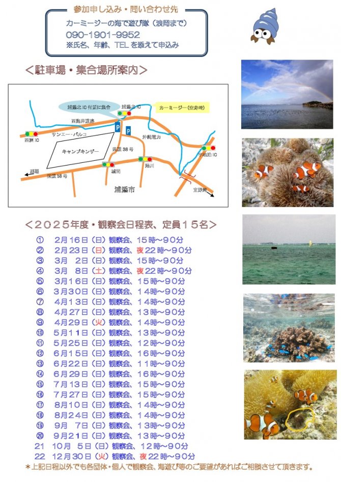 真夜中の神秘的なカーミージー（亀瀬）の海の観察会