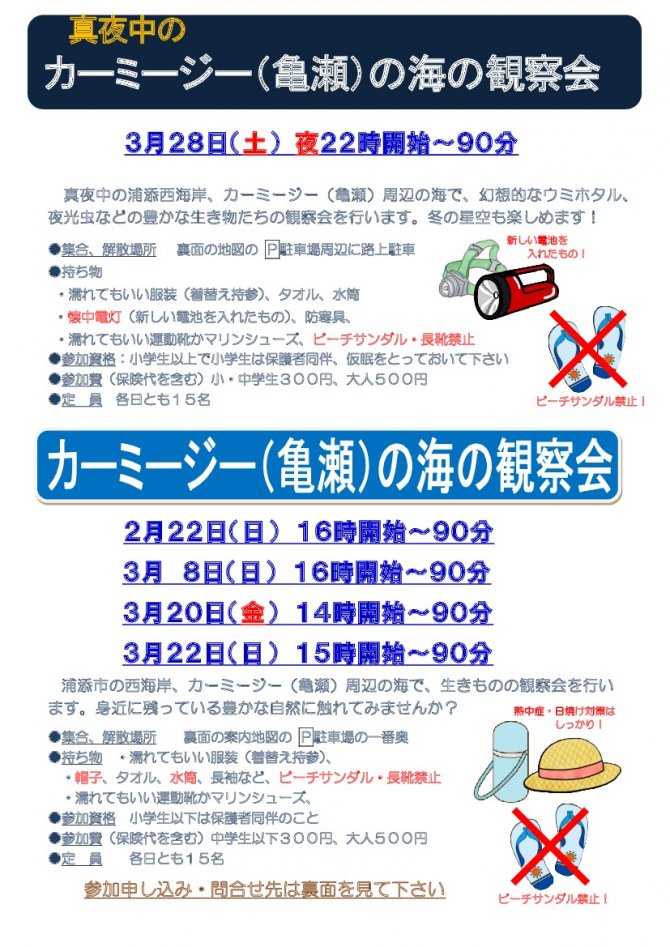 自然豊かなカーミージー（亀瀬）の海の観察会