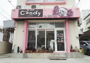 ドッグサロン Candy｜うるま市・ペットショップ・トリミングサロン