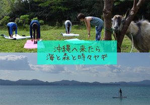 YAGIE＆｜名護市・ヤギ・体験・SUP