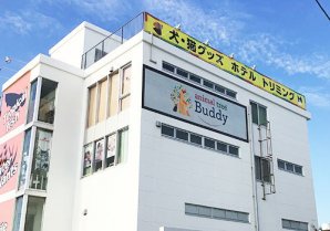 animal tree BUDDY｜宜野湾市・ペットショップ