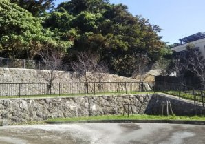 クニンドーの森公園｜浦添市・公園