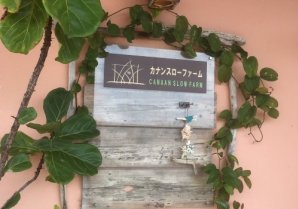 CANAAN SLOW FARM cafe＆eco-stay｜東村・カフェ